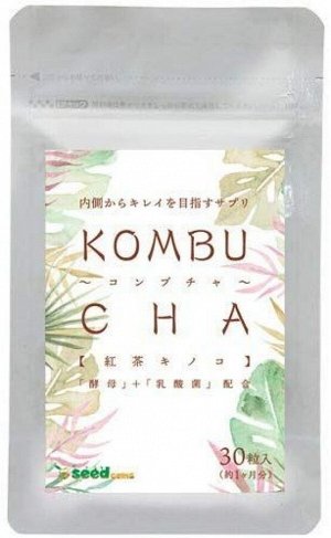Комплекс для укрепления иммунитета и восстановления пищеварения SeedComs Kombucha Black Tea Mushroom & Yeast & Lactic Acid Bacteria