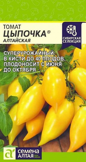Томат Цыпочка/Сем Алт/цп 10 шт. НОВИНКА!