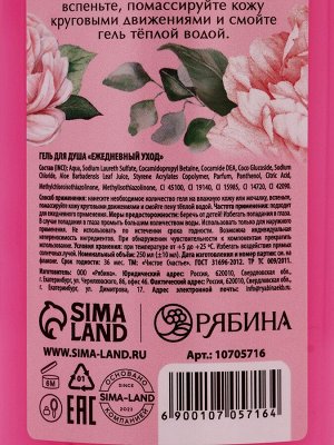 Подарочный набор «Самой милой», гель для душа, 250 мл и крем для рук, 30 мл Чистое счастье