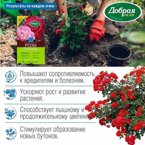 Сухое удобрение Розы-Пионы, Добрая сила пакет 0,9 кг
