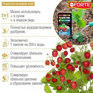 Удобрение водорастворимое BONA Forte Для клубники земляники аминокислоты 100г