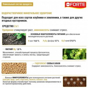 Удобрение водорастворимое BONA Forte Для клубники земляники аминокислоты 100г