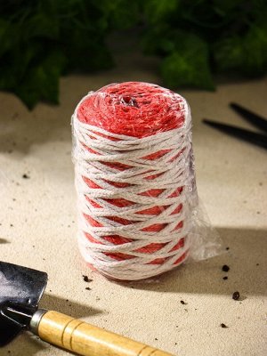 Шнур для подвязки растений, 100 м, толщина 2 мм, цвет МИКС, Greengo