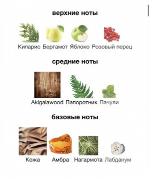 Мужские духи Signature Baldessarini 100 мл. Оригинал