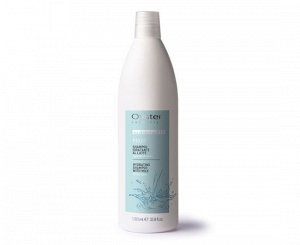 Шампунь увлажняющий с молочными протеинами для всех типов волос 1000ml SUBLIME FRUIT