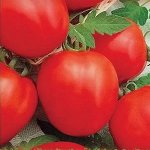 Томат Детская сладость