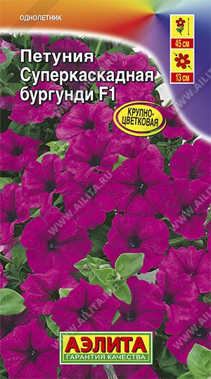 Петуния Суперкаскадная бургунди F1