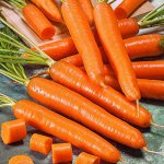 Морковь Сахарный пальчик ЦП