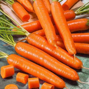 Морковь Сахарный пальчик