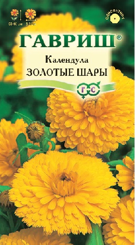 Календула Золотые шары (низкорослая/махровая)
