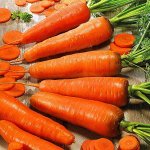 Морковь Флакке (Флакер)