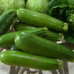 Кабачок Цукеша (цуккини)