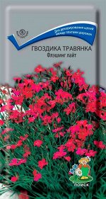 Гвоздика травянка Флэшинг Лайт (П)