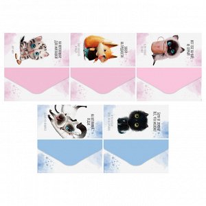 Конверт для денег MESHU ""Cute kittens"" 85*164мм, матовая ламинация, 5 дизайнов