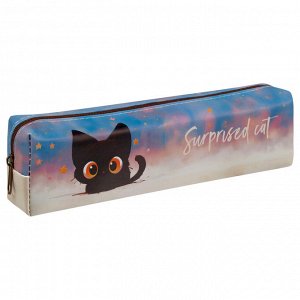 Пенал мягкий 200*55*40 MESHU ""Surprised Cat"", искусственная кожа