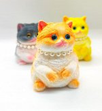 Тапа Котик
