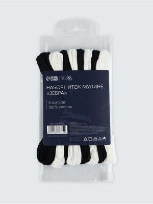 Нитки мулине TEIRA, 8±1 м, набор 8 шт., хлопок, чёрные, белые