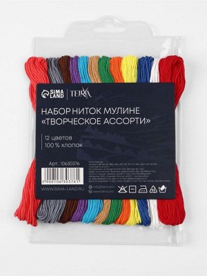Нитки мулине TEIRA «Сочный», 8±1 м, 12 шт., разноцветные
