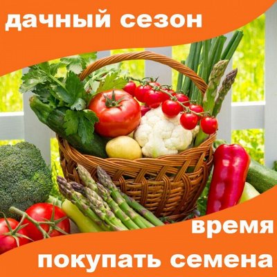 50% Скидка. Семена: Цветы, Овощи, Зелень