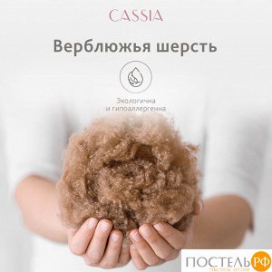 Подушка CASSIA КАЛАХАРИ, Классическая, 50х70  (Прямоугольная)