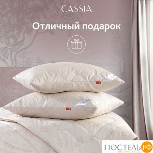 Подушка CASSIA КАЛАХАРИ, Классическая, 50х70  (Прямоугольная)