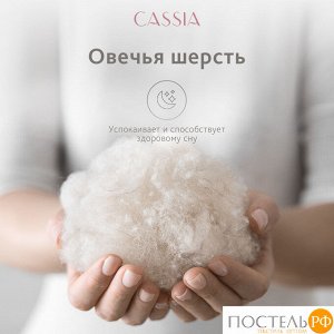 Подушка CASSIA ЖЕМЧУЖИНА ТИБЕТА, Классическая, 50х70  (Прямоугольная)
