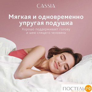 Подушка CASSIA АЙЛИН, Классическая, 70х70  (Квадратная)