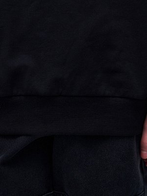 Свитшот Цвет: черный
Сезон: весна
Состав: 95% хлопок; 5% эластан
Уход за вещами: машинная стирка при t не более 40C
Фактура материала: трикотажный