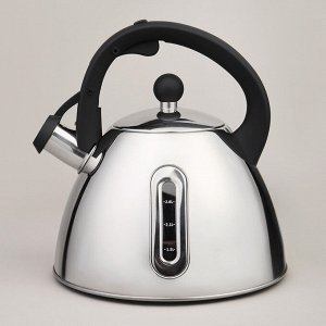 Чайник AGNESS ThermoSteel 3,2 л со свистком и мерной шкалой, капсульное термодно, быстрый нагрев, 1 шт.