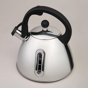 Чайник AGNESS ThermoSteel 3,2 л со свистком и мерной шкалой, капсульное термодно, быстрый нагрев, 1 шт.