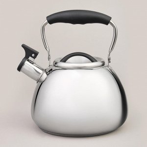 Чайник AGNESS Premium Steel 2.9 л с термоаккумулирующим дном и складывающейся ручкой, свисток, 1 шт.