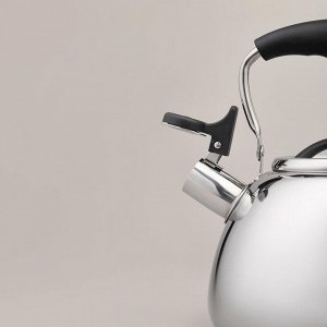 Чайник AGNESS Premium Steel 2.9 л с термоаккумулирующим дном и складывающейся ручкой, свисток, 1 шт.