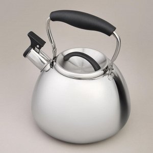 Чайник AGNESS Premium Steel 2.9 л с термоаккумулирующим дном и складывающейся ручкой, свисток, 1 шт.