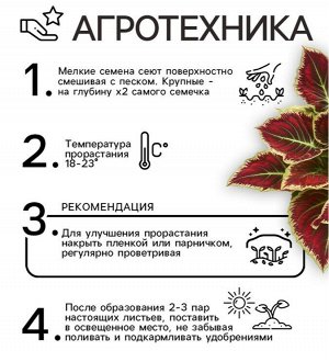 Семена Цветов Колеус "Визард", 10 шт