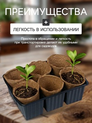 Набор для рассады: торфяной горшок 6x6 см, кассета на 6 ячеек, 17.5x13.5 см, Greengo
