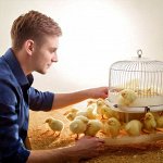 Кормушки/ Поилки🐔 /корма