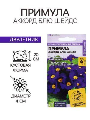 Семена цветов Примула "Аккорд Блю шейдс", ц/п, 5 шт