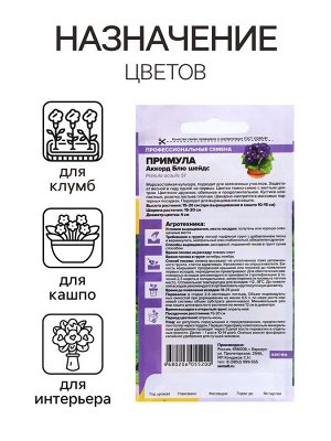 Семена цветов Примула "Аккорд Блю шейдс", ц/п, 5 шт