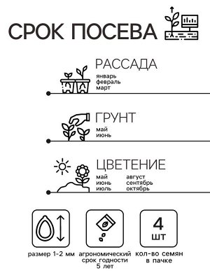 Семена цветов Пеларгония "Горизонт", "Лавандовая", Сем. Алт, ц/п, 4 шт