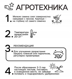 Семена цветов Пеларгония "Горизонт", "Лавандовая", Сем. Алт, ц/п, 4 шт