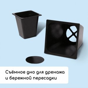 Набор для рассады: стаканы по 1 л (10 шт.), поддон 61?23 см, чёрный