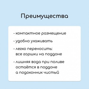 Набор для рассады: стаканы по 1 л (10 шт.), поддон 61x23 см, чёрный