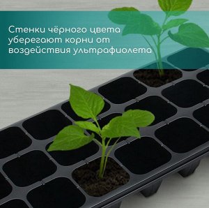 Кассета для выращивания рассады Greengo на 21 ячейку, по 200 мл, из пластика, 54x28x10 см
