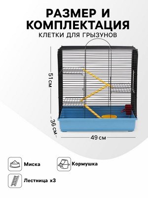 Клетка для грызунов "Сеня 3-1", 49 x 36 x 51 см, микс цветов