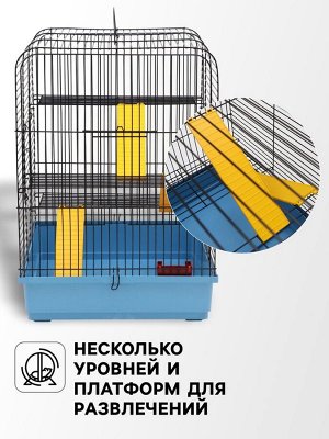 Клетка для грызунов "Сеня 3-1", 49 x 36 x 51 см, микс цветов