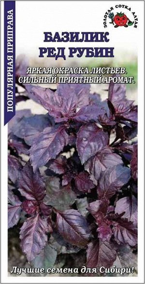 Пряность Базилик фиолетовый Ред Рубин ЦВ/П (СОТКА) 0,5гр среднеранний