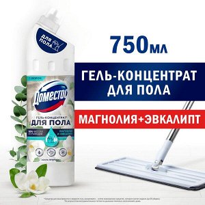 Доместос средство для мытья пола гель Доместос с хлором для уборки дома Магнолия и эвкалипт 750 мл