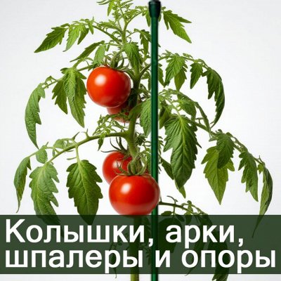 ДАЧНЫЙ СЕЗОН. Арки и шпалеры из металла, колышки-опоры