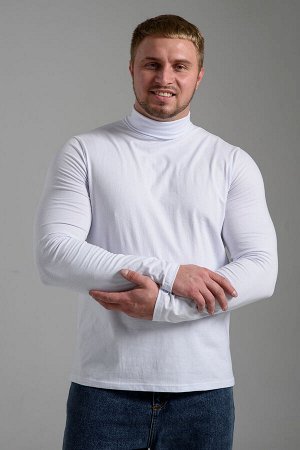14439/3 Водолазка мужская