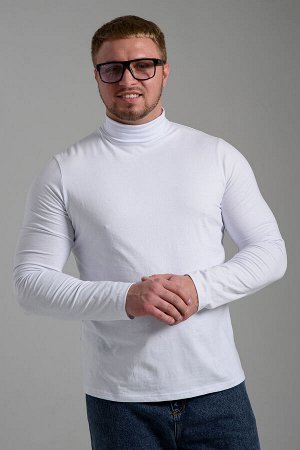 14439/3 Водолазка мужская